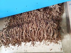 污泥软体挤条造粒机